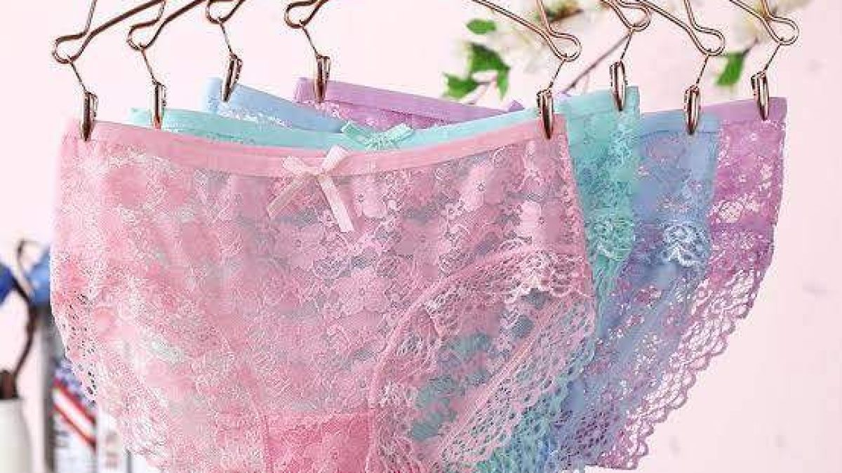 Plus Size Women Lace Panty Mesh Net Underwear 