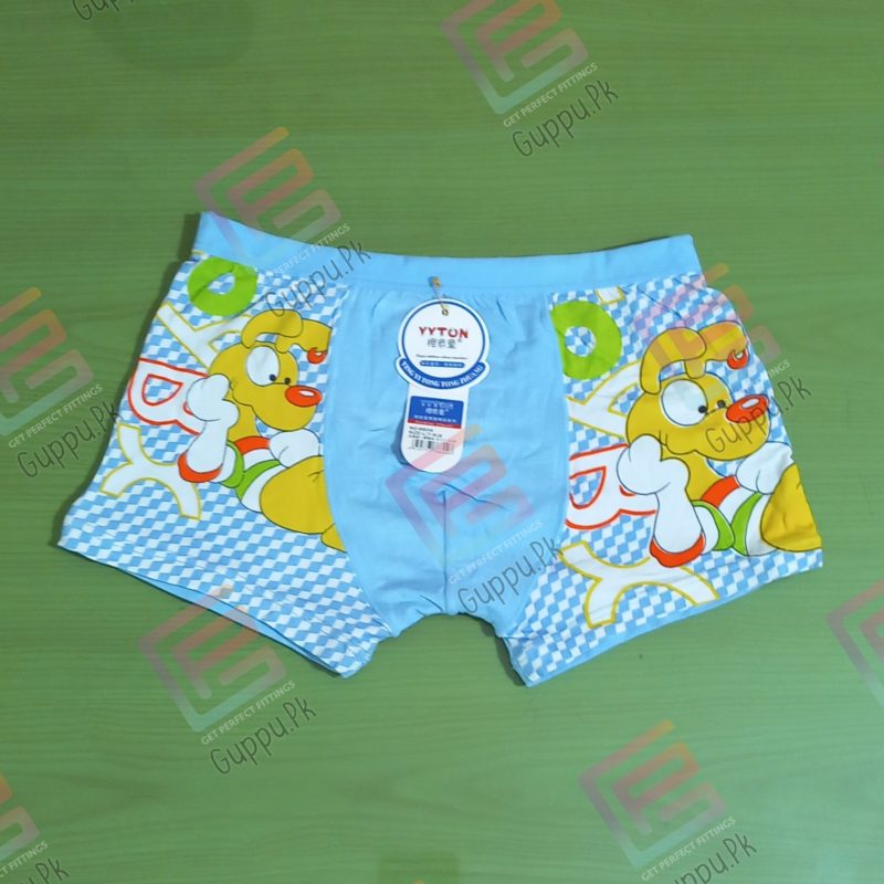 Boys Character Boxer Briefs Underwear - Guppu.pk