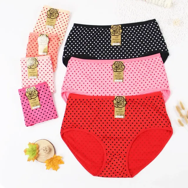 Plus Size Underwear for Women Panties 4XL to 6XL