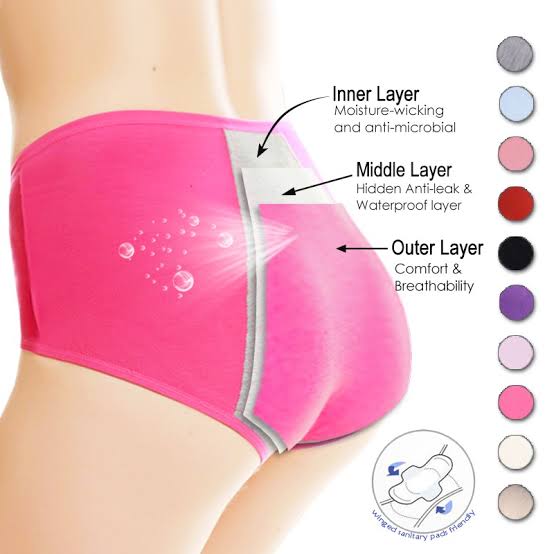 Women Menstruation Period Panty Leak Proof Protective Panties - guppu.pk